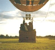 The basket