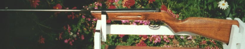 Diana Model 25