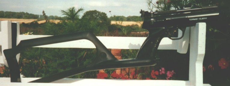 Tempest with Aim-brace